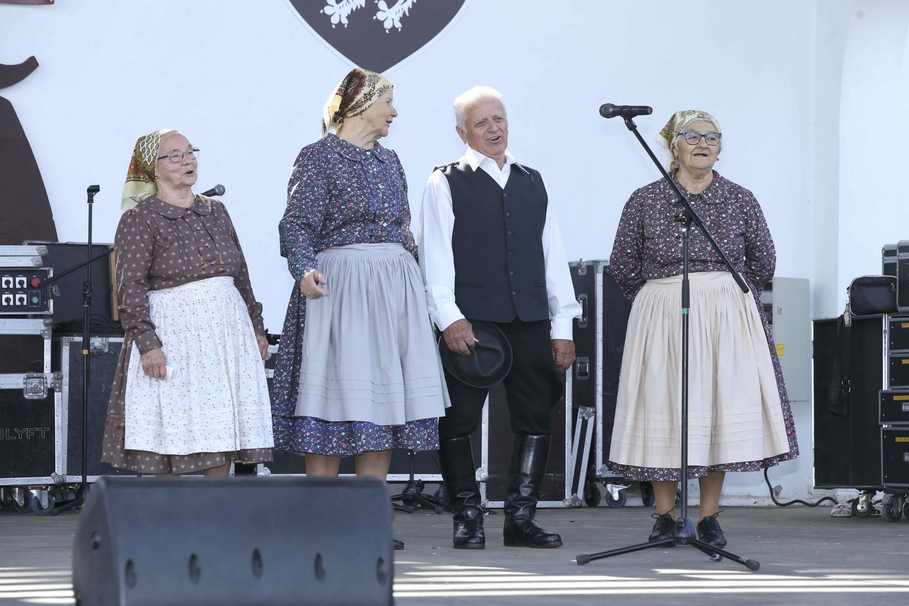 SZUCS_ROBERT_FELVETELE-2023-NAGYECSED_GIPSYFEST-230903-IMG_6433